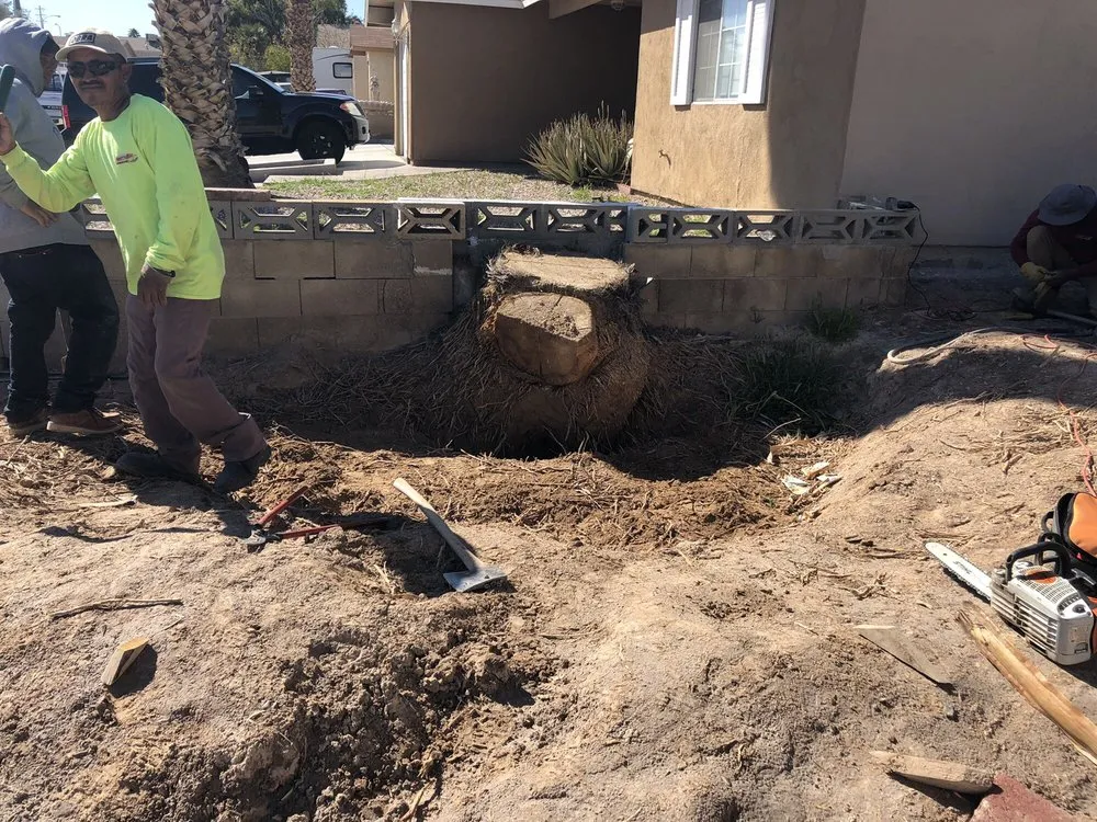 Top-rated lawn mowing service in Las Vegas, NV by Desert Canyon Landscaping