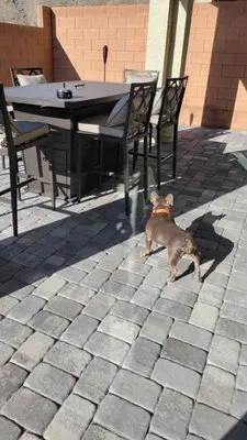 Desert Canyon Landscaping Logo