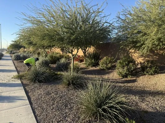 Desert Clean Solutions