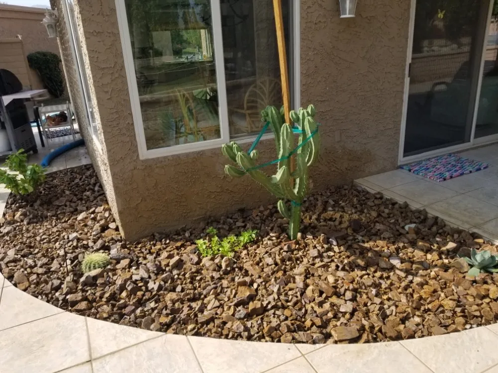 Top-rated lawn care service experts serving Palm Springs, CA - Desert Design & Landscape