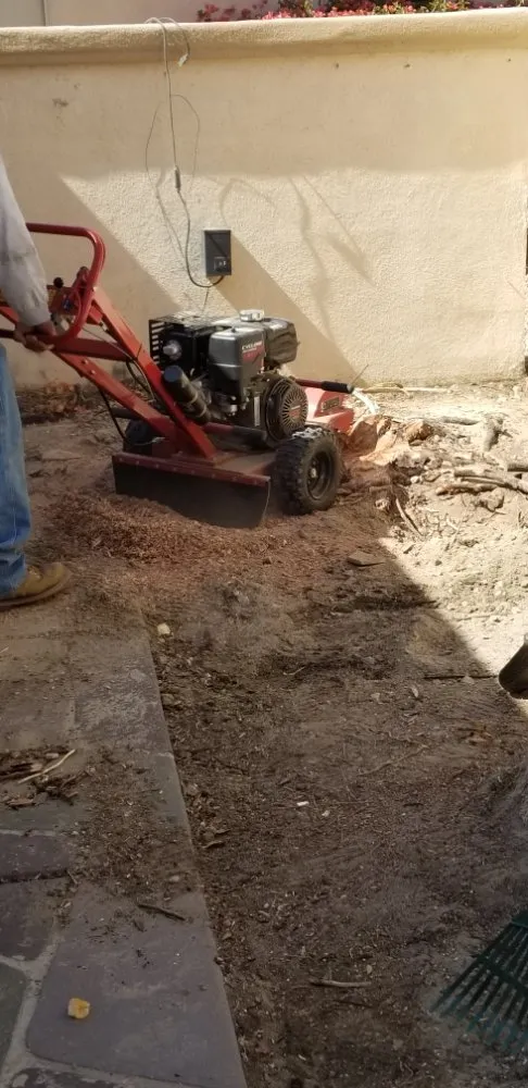 Reliable lawn care service for residential properties in Palm Springs, CA by Desert Design & Landscape