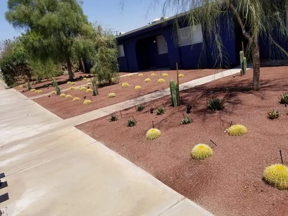 Reliable lawn care service in Palm Springs, CA by Desert Design & Landscape