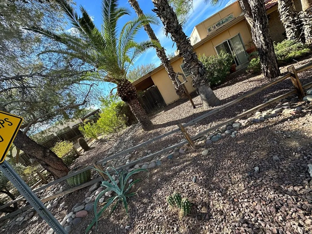 Custom yard maintenance in Tucson, AZ - Desert Dream