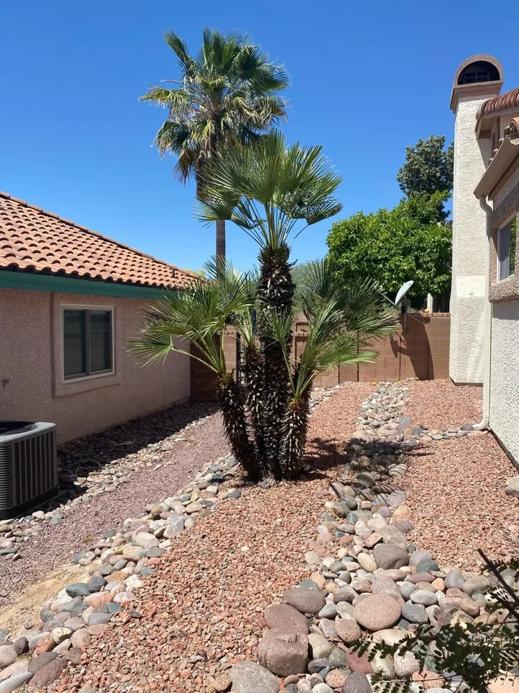 Reliable garden landscaping for beautiful yards across Tucson, AZ - Desert Dream