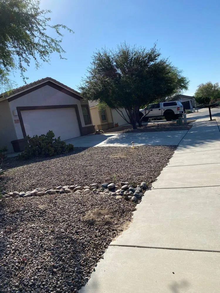 Local landscape design in Tucson, AZ - Desert Dream
