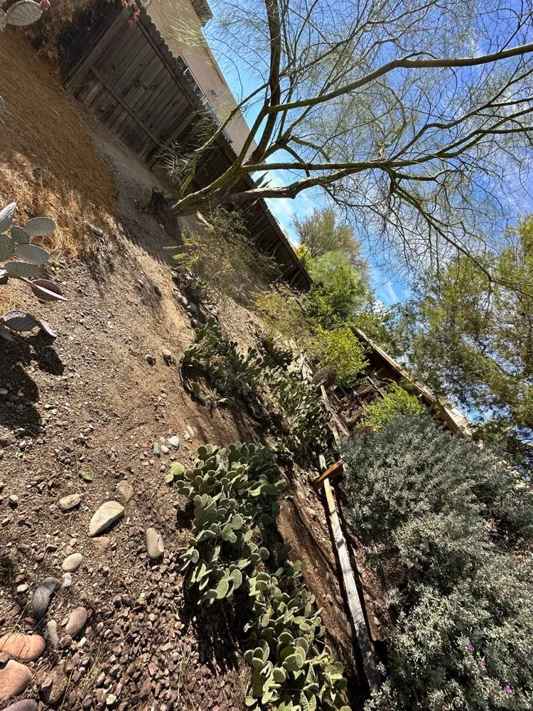 Local outdoor landscaping in Tucson, AZ - Desert Dream