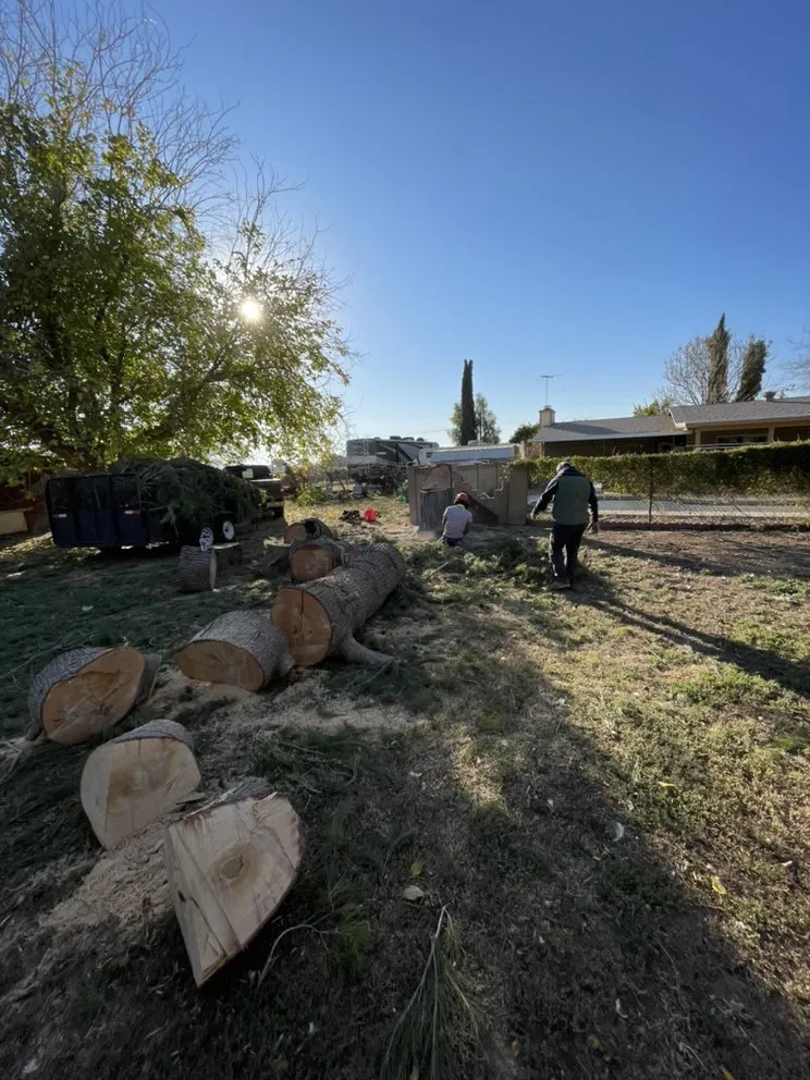 Reliable landscape design in Peoria, AZ - Desert Dreamco