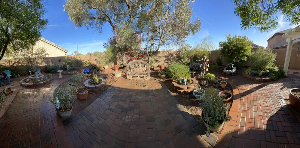 Top-rated landscape design in Peoria, AZ by Desert Dreamco