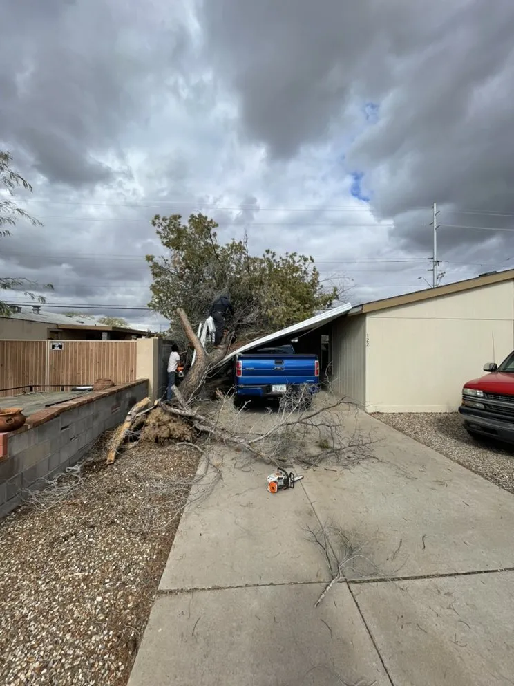 Expert lawn mowing service in Peoria, AZ by Desert Dreamco