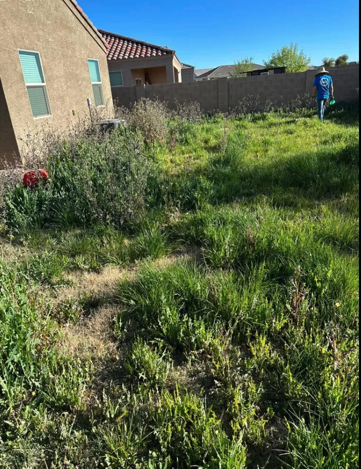 Custom landscape installation in Coolidge, AZ by Desert Eagle Landscaping