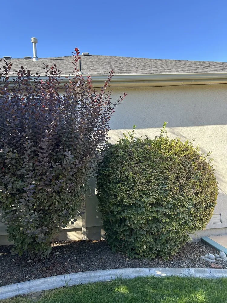 Expert residential landscaping in Kennewick, WA - Desert Edge