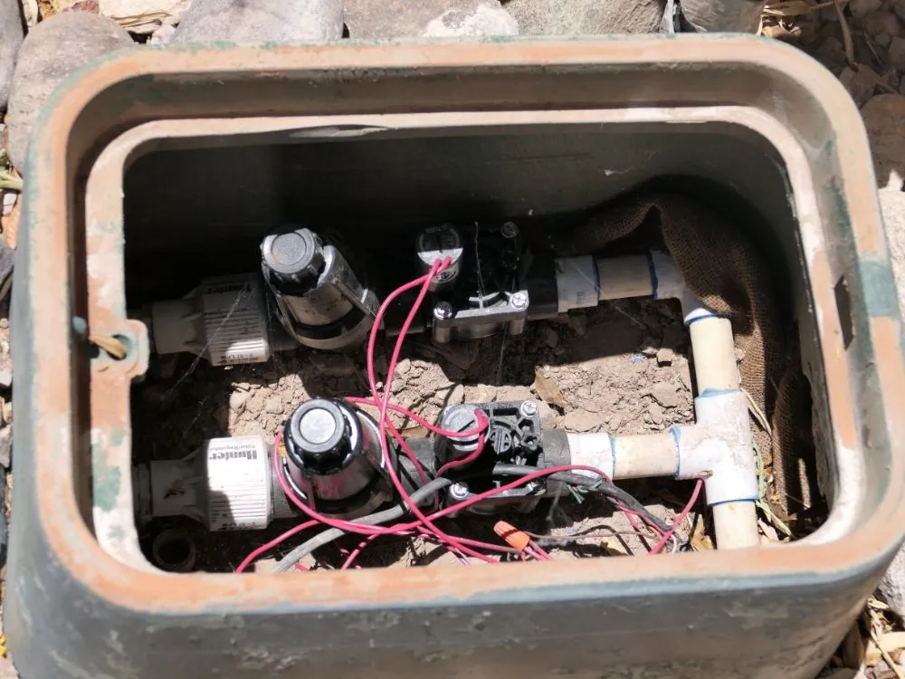 Professional lawn care service for residential properties in Tucson, AZ by Desert Edge Landscaping