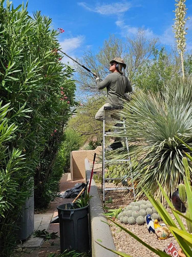 Professional yard cleanup service in Tucson, AZ by Desert Edge Landscaping