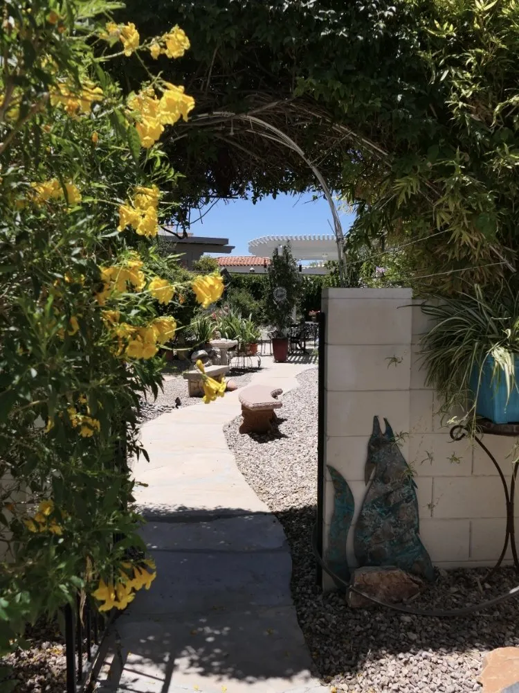 Affordable landscaping services experts serving Tucson, AZ - Desert Edge Landscaping