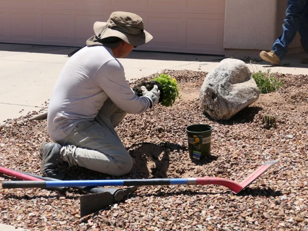 Reliable yard maintenance for beautiful yards across Tucson, AZ - Desert Edge Landscaping