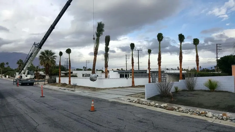 Local residential landscaping near you in Thermal, CA by Desert Empire Palms