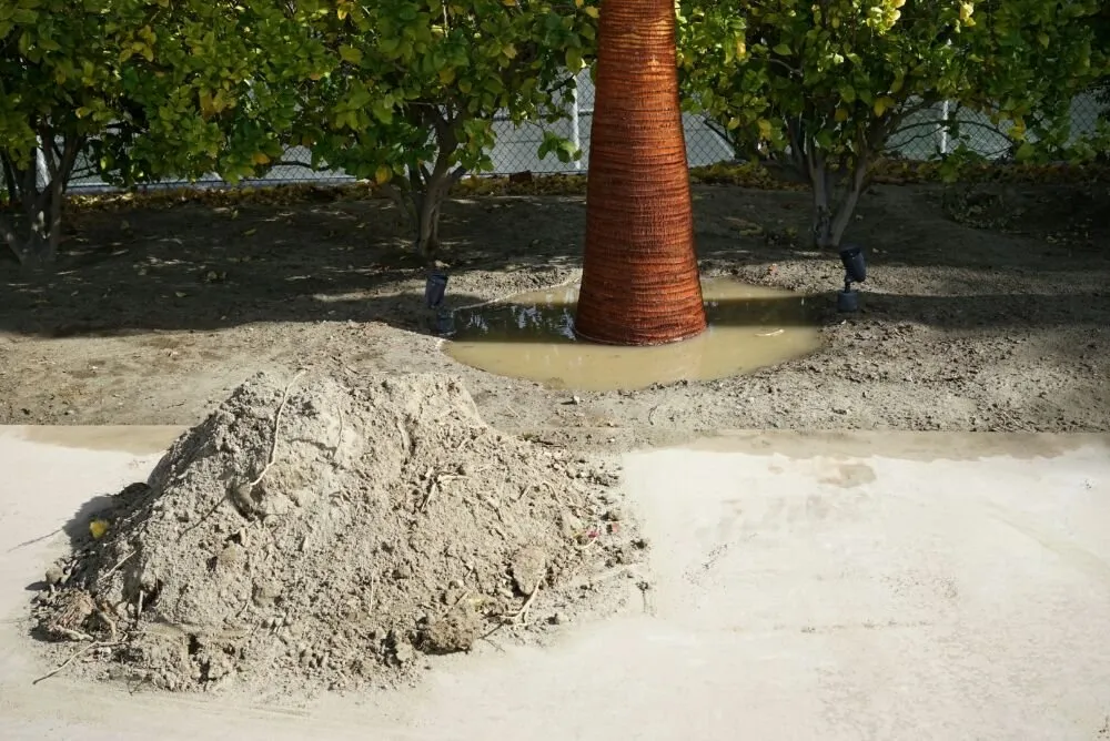 Local yard maintenance for beautiful yards in Thermal, CA by Desert Empire Palms