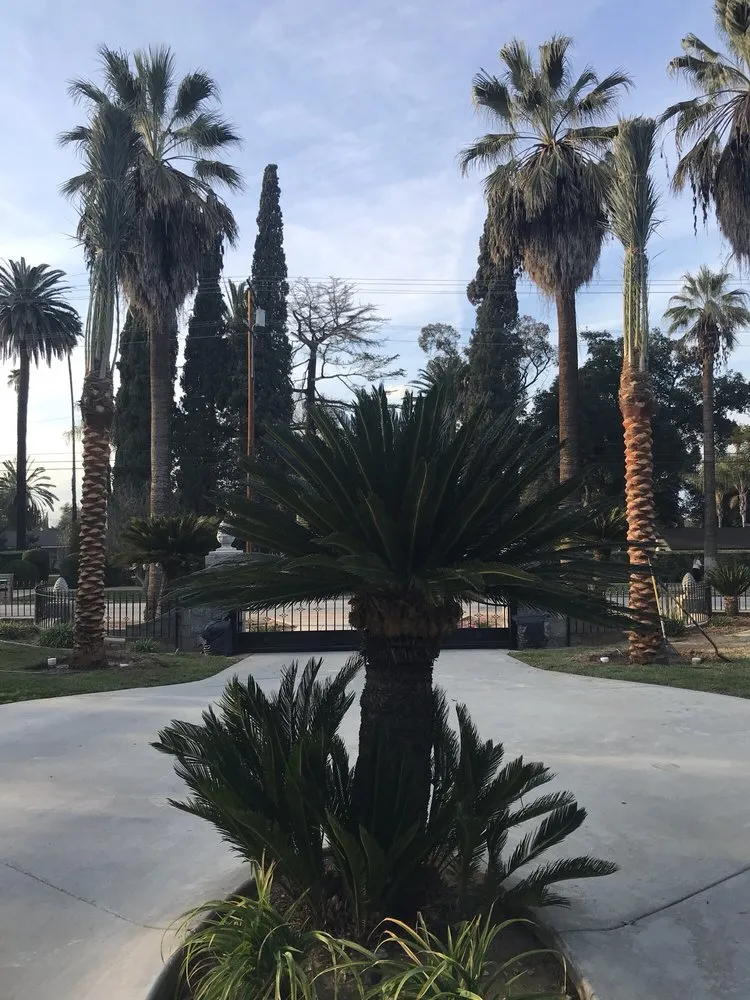 Trusted garden landscaping in Thermal, CA - Desert Empire Palms