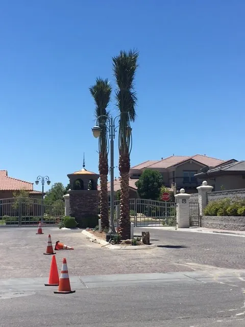 Affordable outdoor landscaping for year-round maintenance across Thermal, CA - Desert Empire Palms