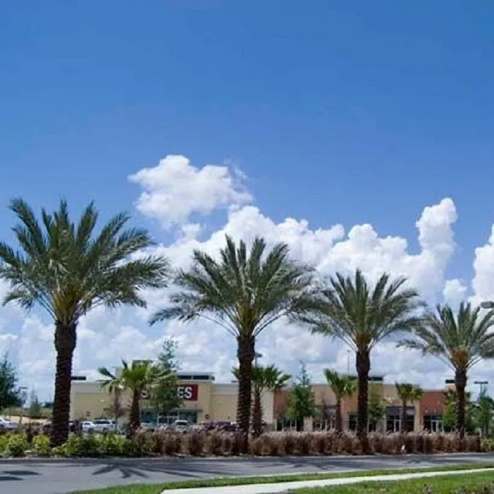 Local landscape design for year-round maintenance in Thermal, CA by Desert Empire Palms