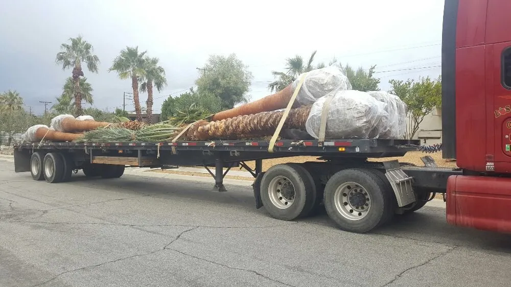 Professional residential landscaping with custom design across Thermal, CA - Desert Empire Palms