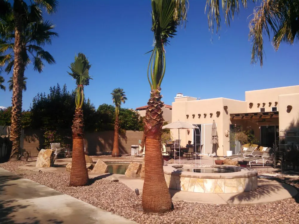 Top-rated yard maintenance experts serving Thermal, CA - Desert Empire Palms