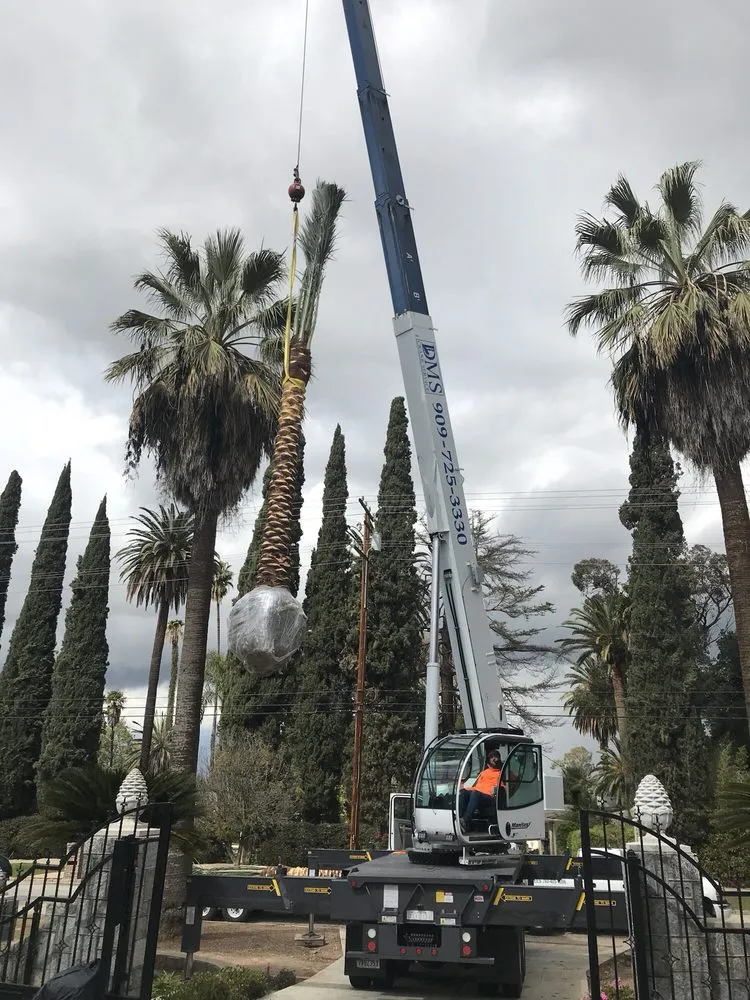 Affordable residential landscaping experts serving Thermal, CA - Desert Empire Palms