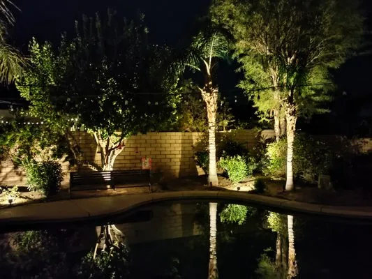 Desert Exterior Landscaping Solutions Logo