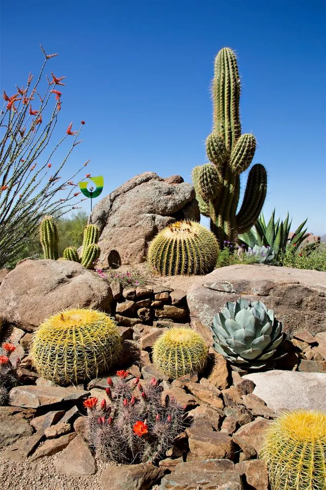 Local outdoor landscaping in Cave Creek, AZ by Desert Foothills Landscape