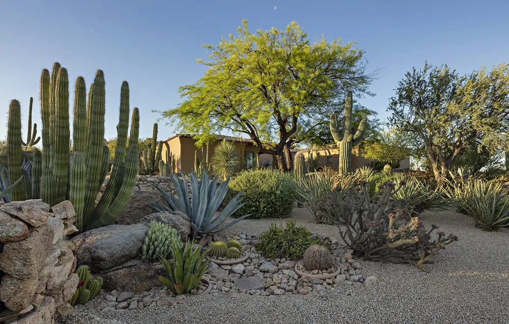Custom outdoor landscaping for residential properties in Cave Creek, AZ by Desert Foothills Landscape