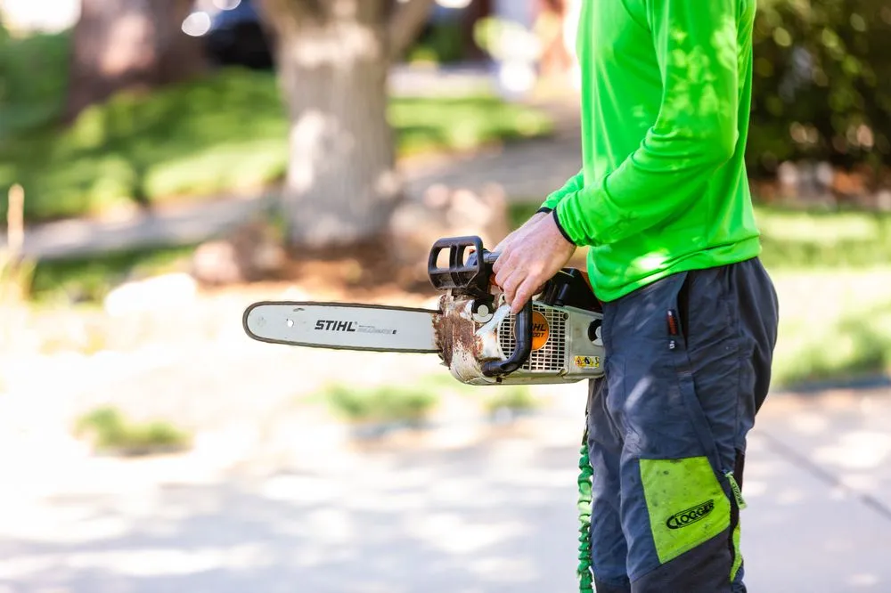 Reliable landscape design in Albuquerque, NM - Desert Gardens Outdoor Services