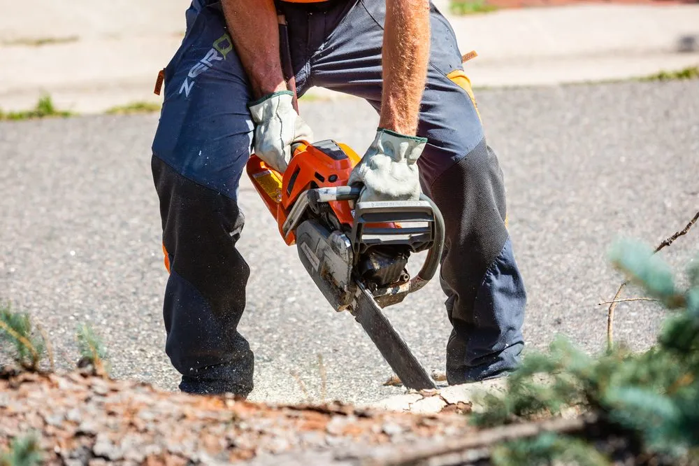 Top-rated residential landscaping in Albuquerque, NM - Desert Gardens Outdoor Services