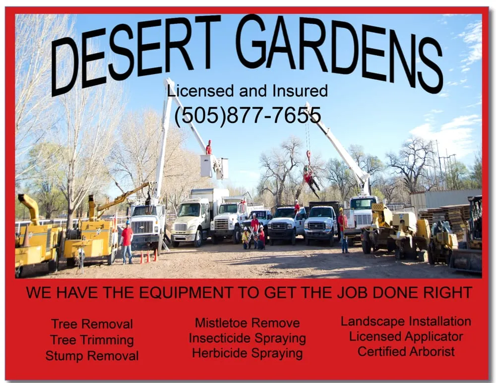 Professional landscape installation in Albuquerque, NM - Desert Gardens Outdoor Services