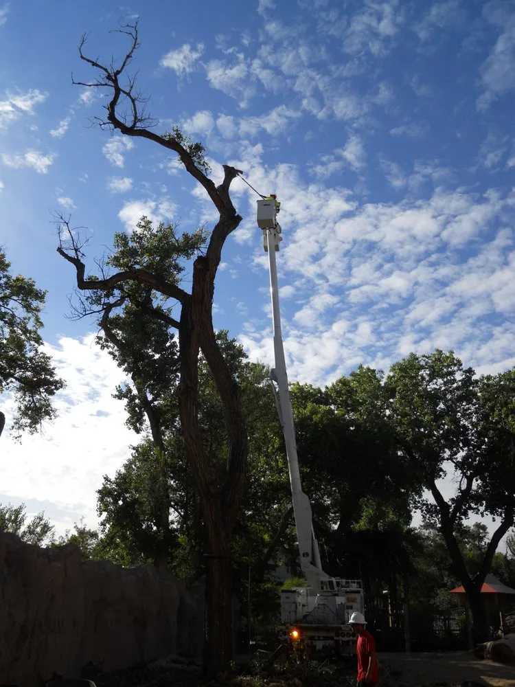 Local residential landscaping experts serving Albuquerque, NM - Desert Gardens Outdoor Services