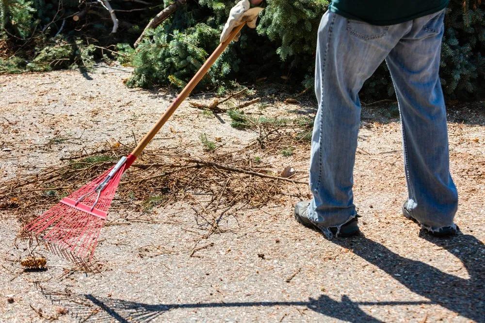 Local landscaping services in Albuquerque, NM by Desert Gardens Outdoor Services