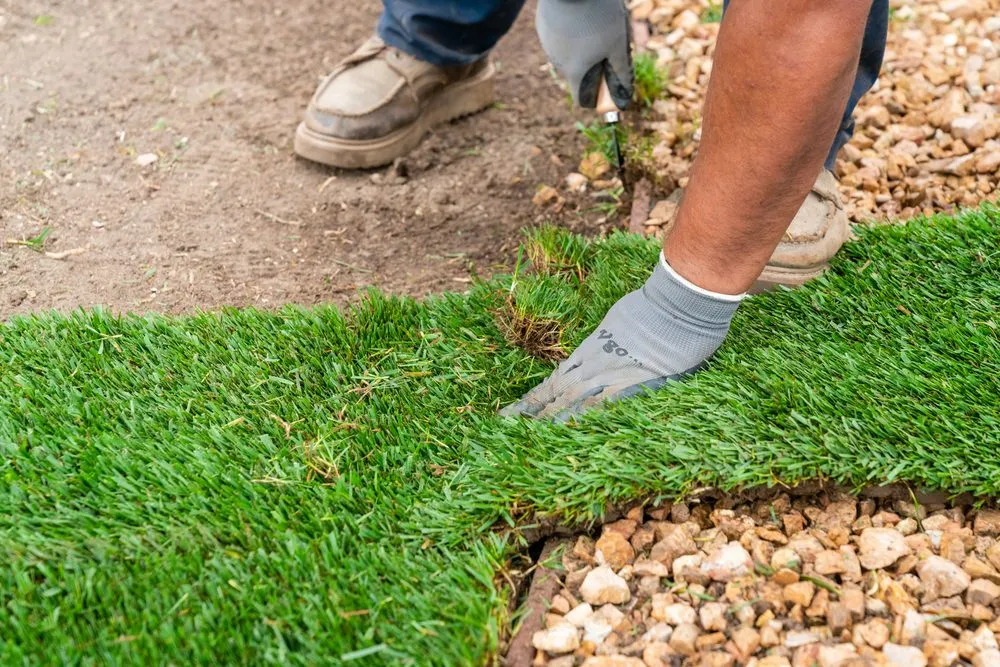 Trusted landscaping services experts serving Albuquerque, NM - Desert Gardens Outdoor Services
