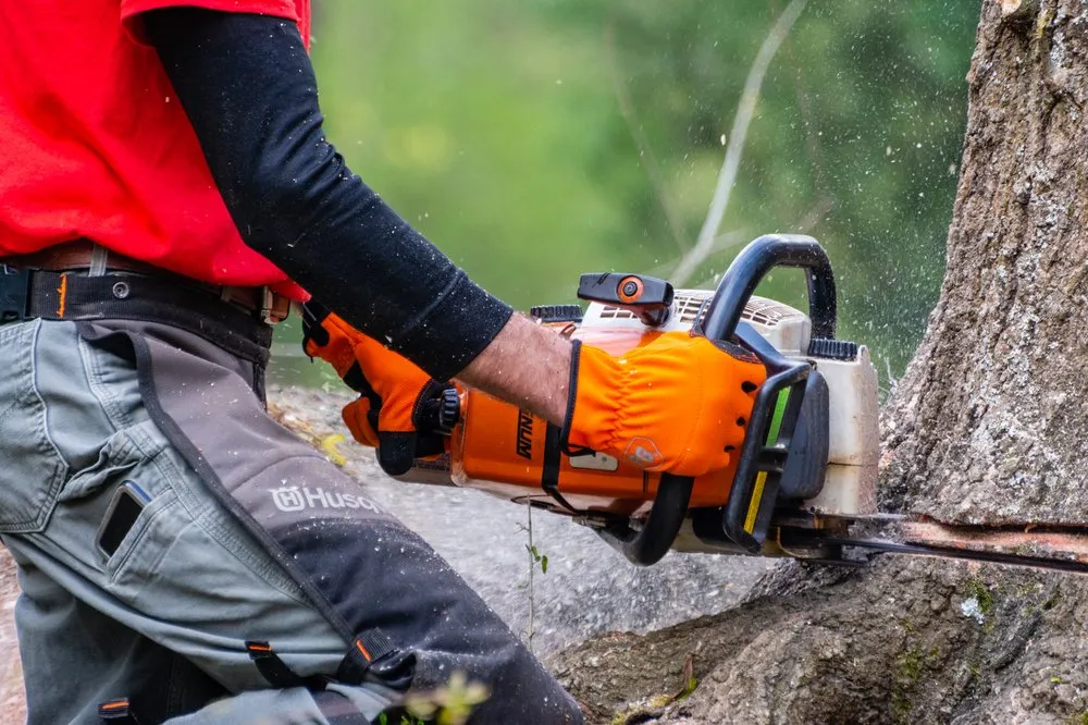 Professional yard maintenance experts serving Albuquerque, NM - Desert Gardens Outdoor Services