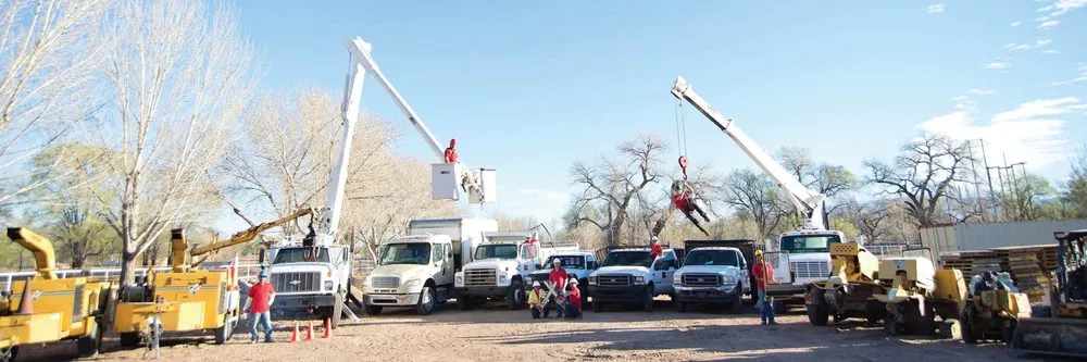 Local landscape design for beautiful yards across Albuquerque, NM - Desert Gardens Outdoor Services