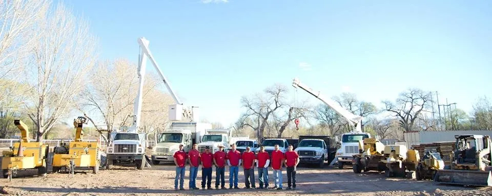 Professional outdoor landscaping in Albuquerque, NM by Desert Gardens Outdoor Services