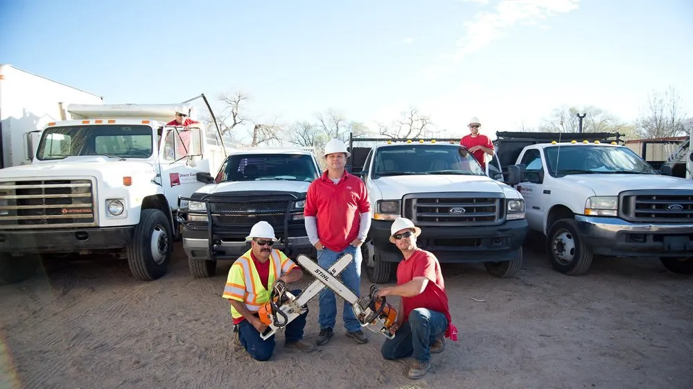 Professional landscape installation for year-round maintenance across Albuquerque, NM - Desert Gardens Outdoor Services