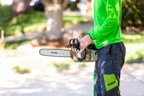 Desert Gardens Outdoor Services Logo