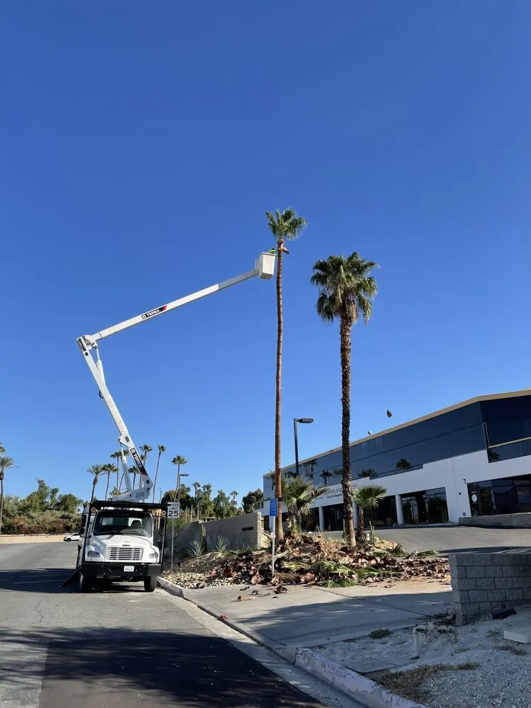Affordable residential landscaping in Desert Hot Springs, CA by Desert Gold Landscape