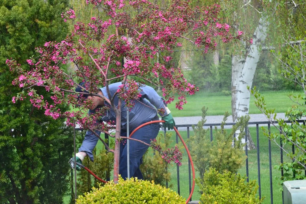 Trusted landscape design in Richland, WA - Desert Green Lawn & Tree Care
