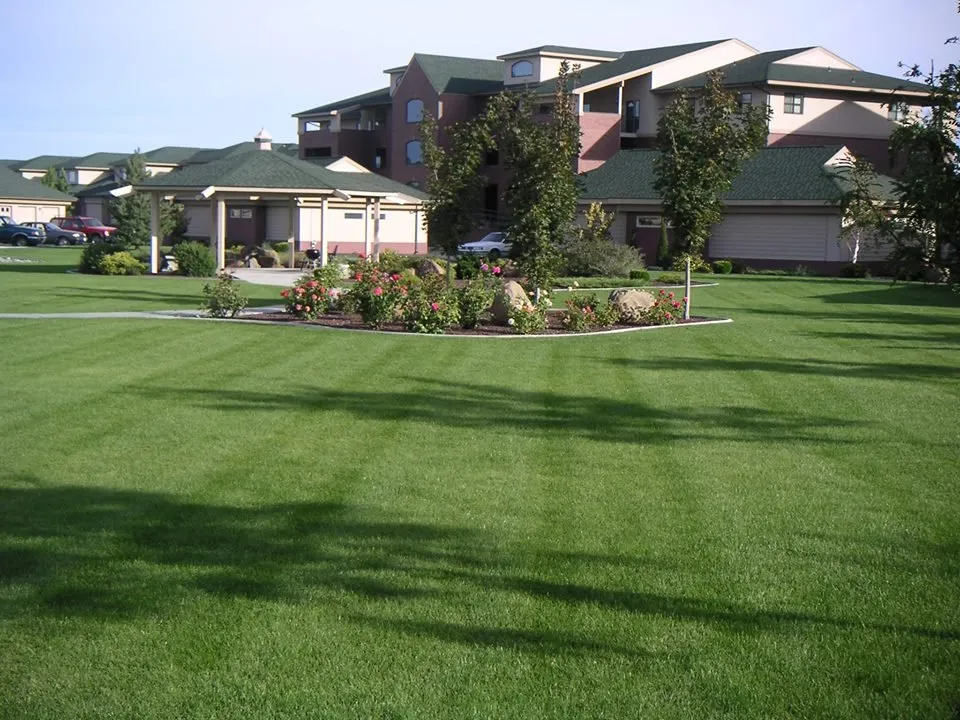 Expert yard maintenance for beautiful yards across Richland, WA - Desert Green Lawn & Tree Care