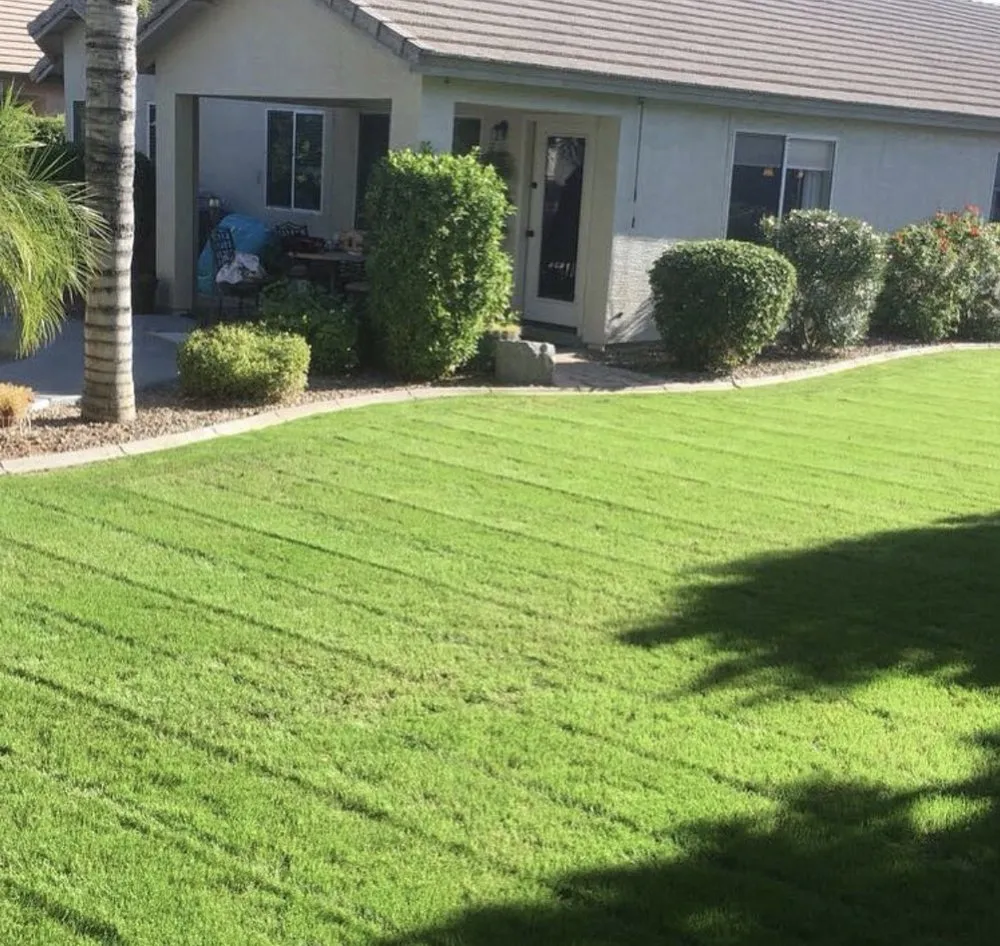 Custom lawn care service experts serving Tucson, AZ - Desert Grounds