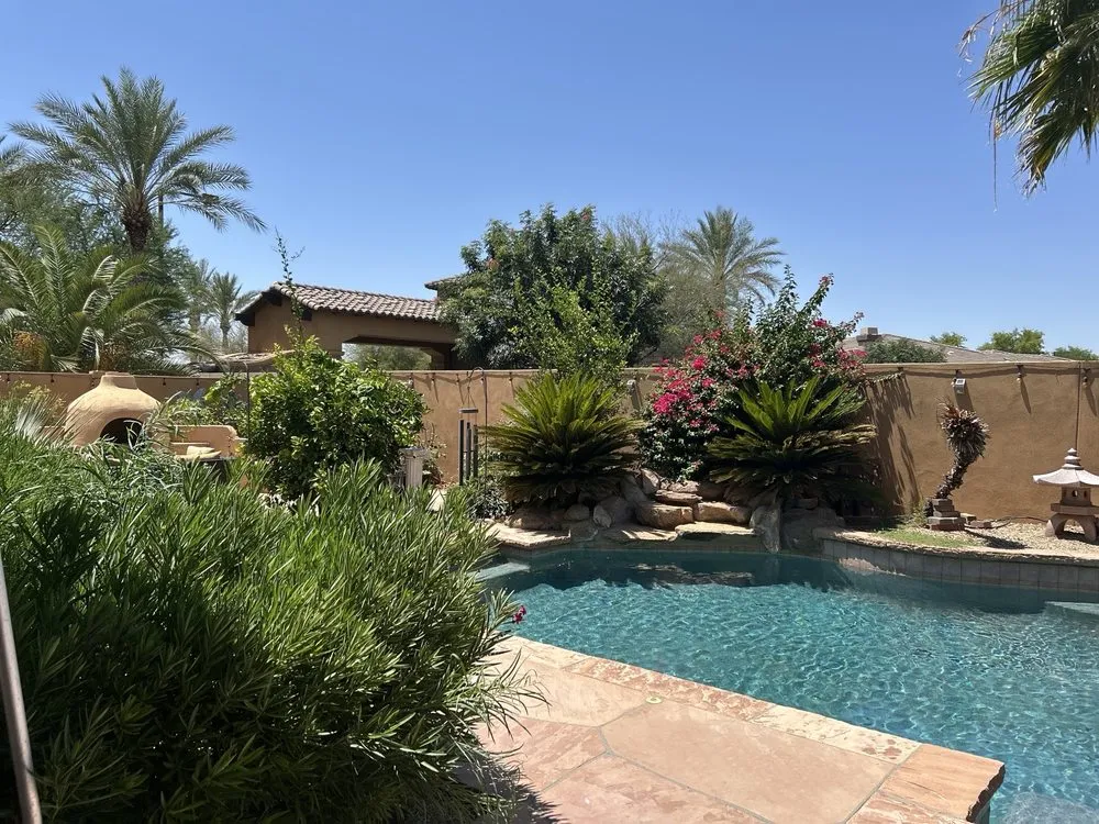 Reliable yard cleanup service in Goodyear, AZ - Desert Horizon