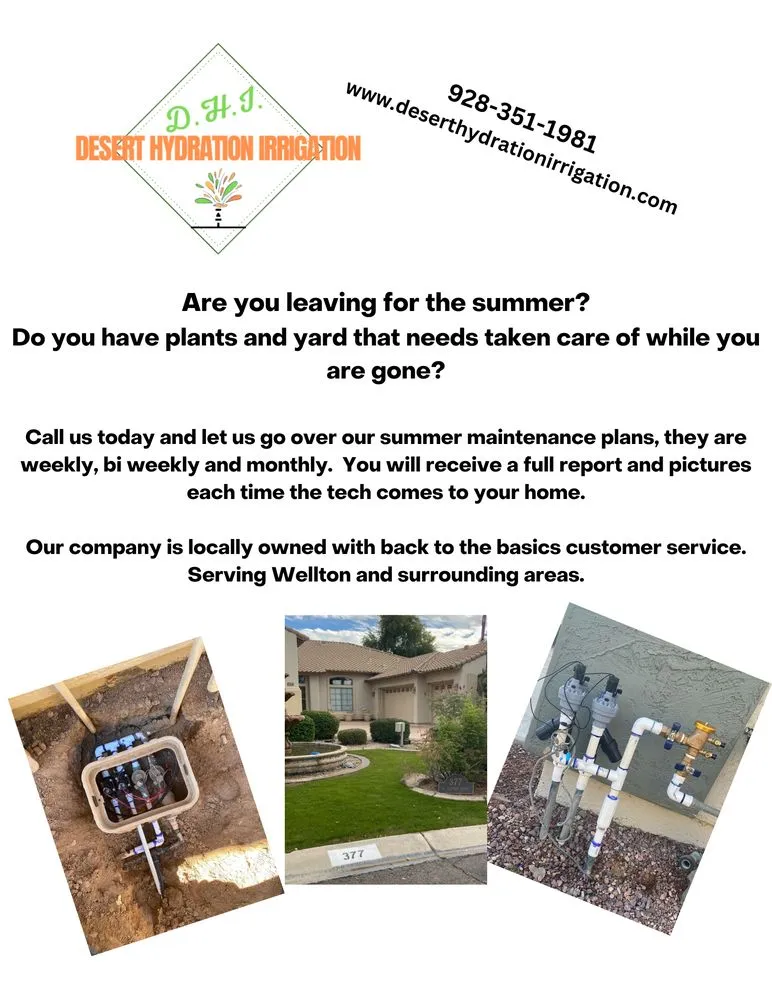 Professional landscape design in Wellton, AZ by Desert Hydration Irrigation