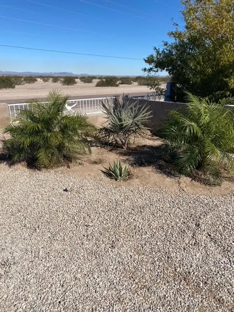 Local residential landscaping in Wellton, AZ - Desert Hydration Irrigation