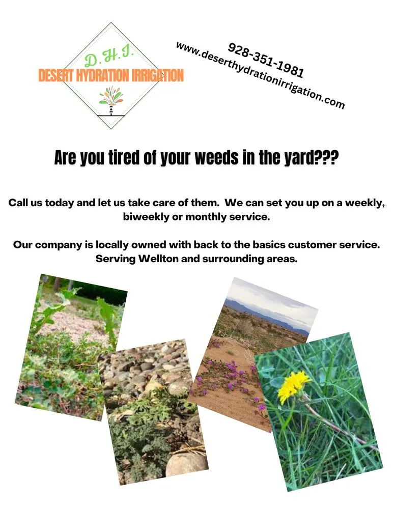 Professional lawn mowing service for residential properties in Wellton, AZ by Desert Hydration Irrigation