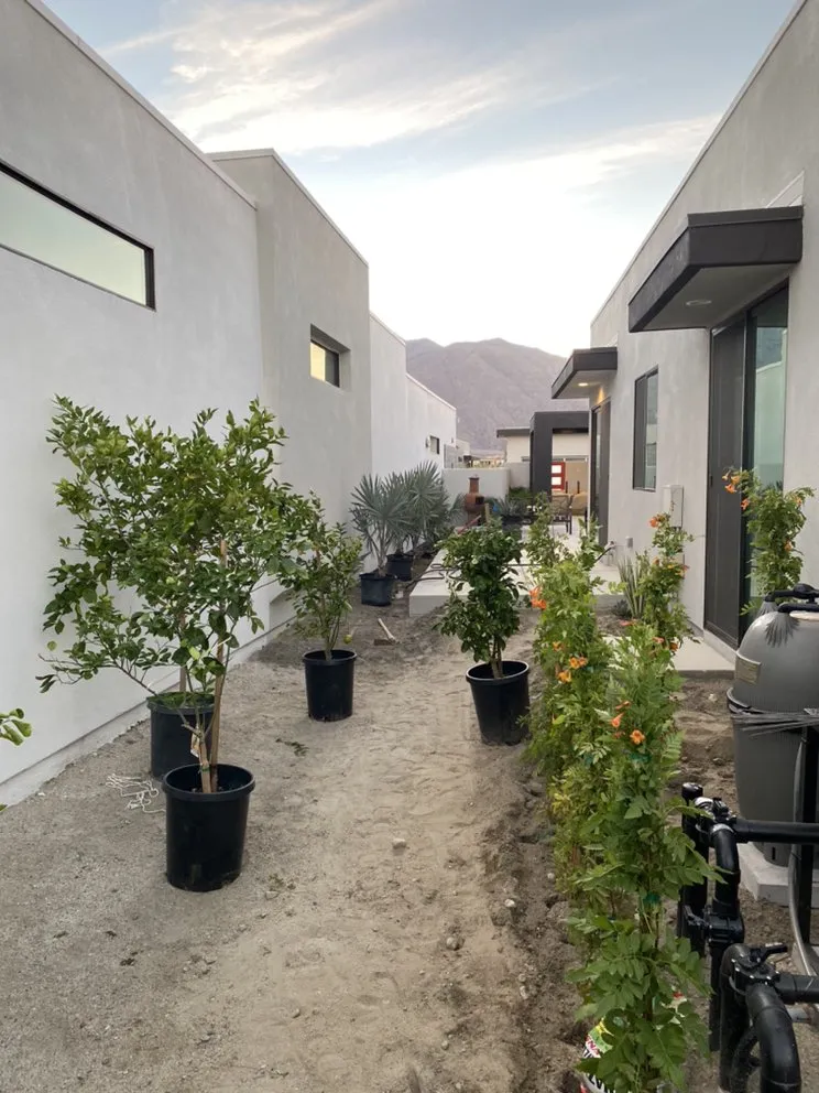 Custom landscape installation in Cathedral City, CA - Desert Image Landscapes